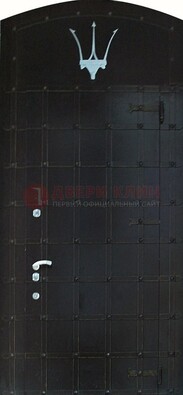 Металлическая арочная дверь ДА-22 высокого качества в Электрогорске