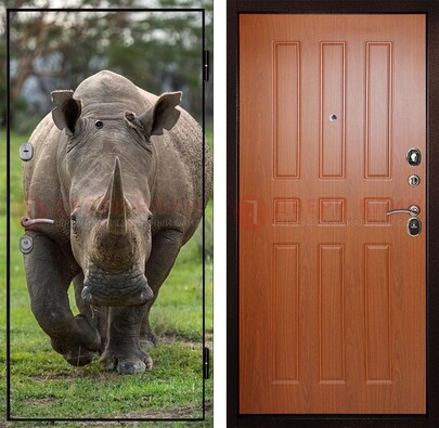Металлическая дверь с фотопечатью носорога ДФ-31 в Электрогорске