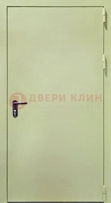 Светлая противопожарная дверь ДПП-22 в Электрогорске