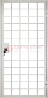 Белая металлическая решетчатая дверь ДР-2 в Электрогорске