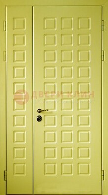 Салатовая тамбурная дверь ДТМ-28 в Электрогорске